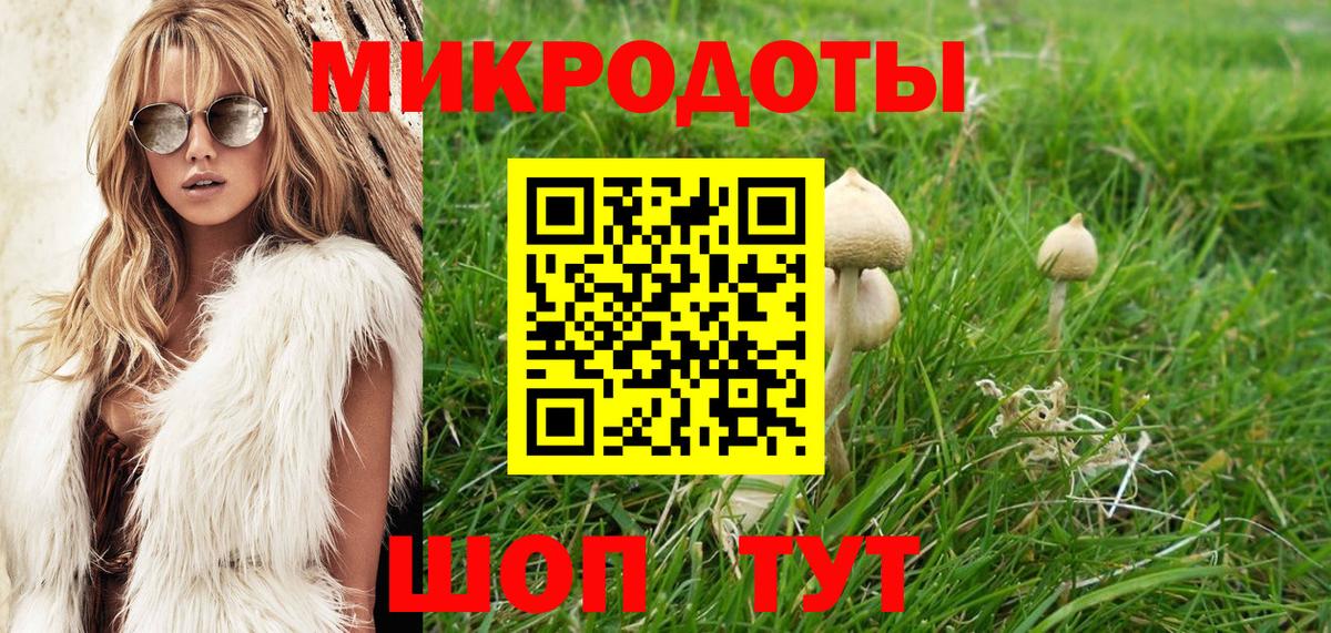 Псилоцибиновые грибы Psilocybine cubensis  Вход с VPN  Истра 