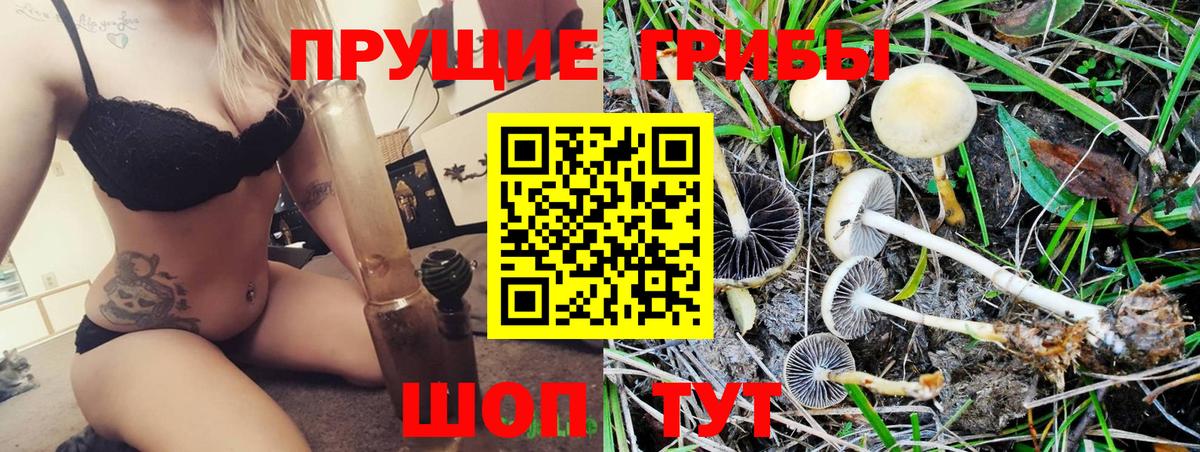 Галлюциногенные грибы MAGIC MUSHROOMS Истра